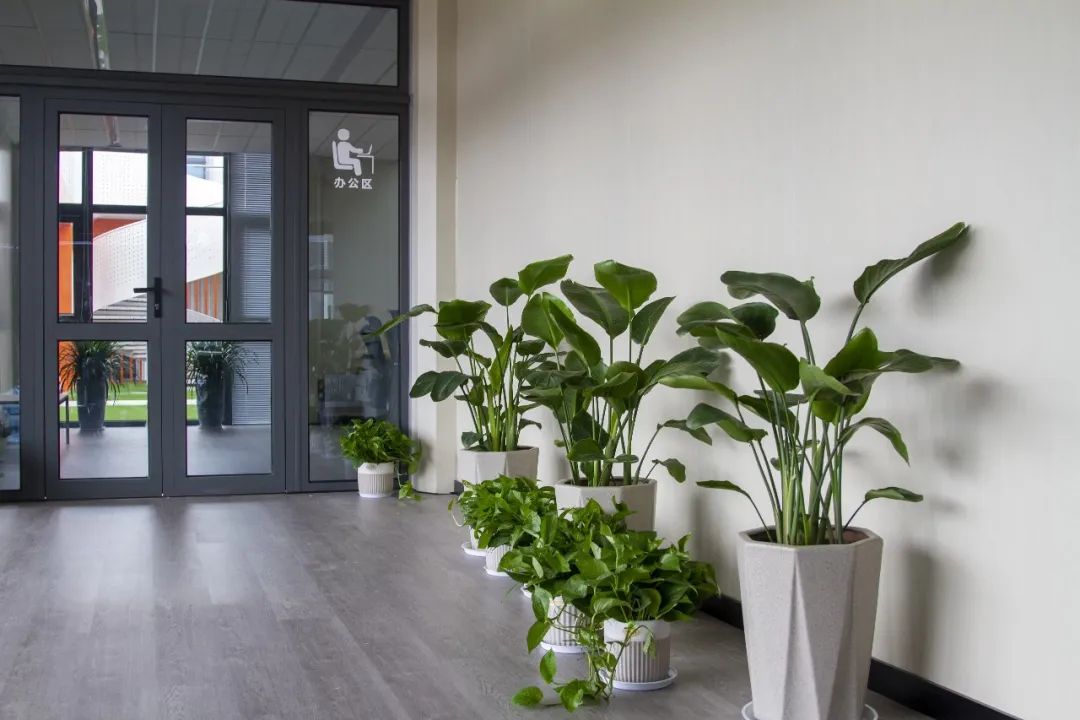 智慧街區(qū)，享品質(zhì)未來(lái)(圖1)